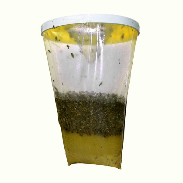 flies be gone fly trap