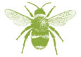 green bee icon