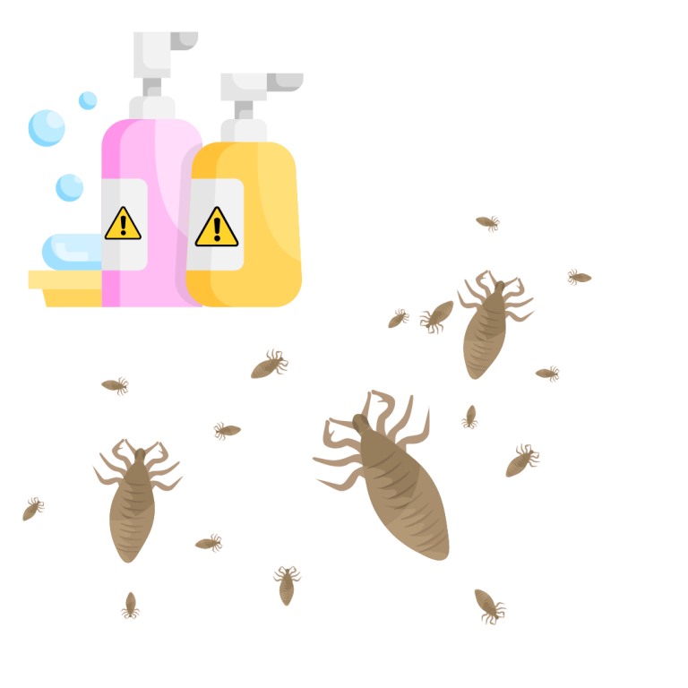 How to Cure Lice Infestations Without Chemicals Safe Solutions