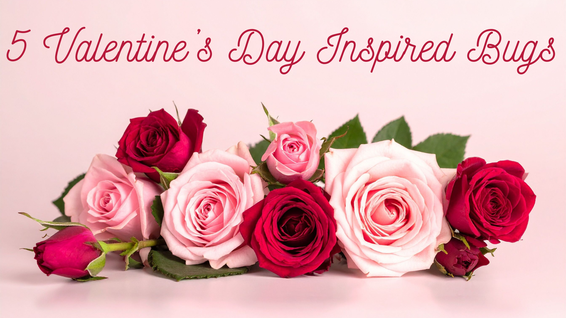 Read more about the article 5 Valentine’s Day Inspired Bugs